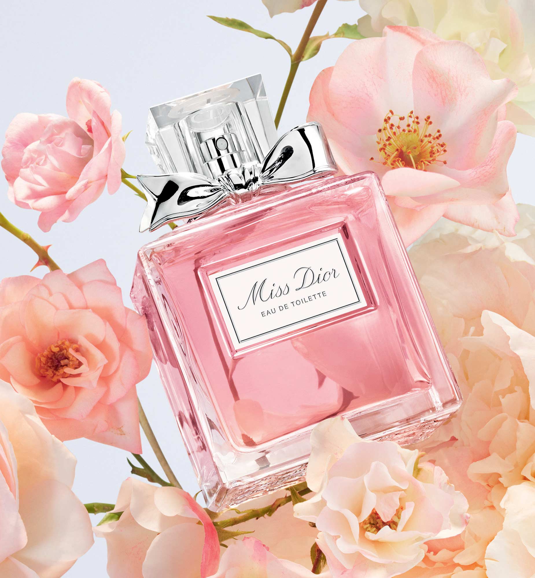 Chanel miss 2025 dior perfume