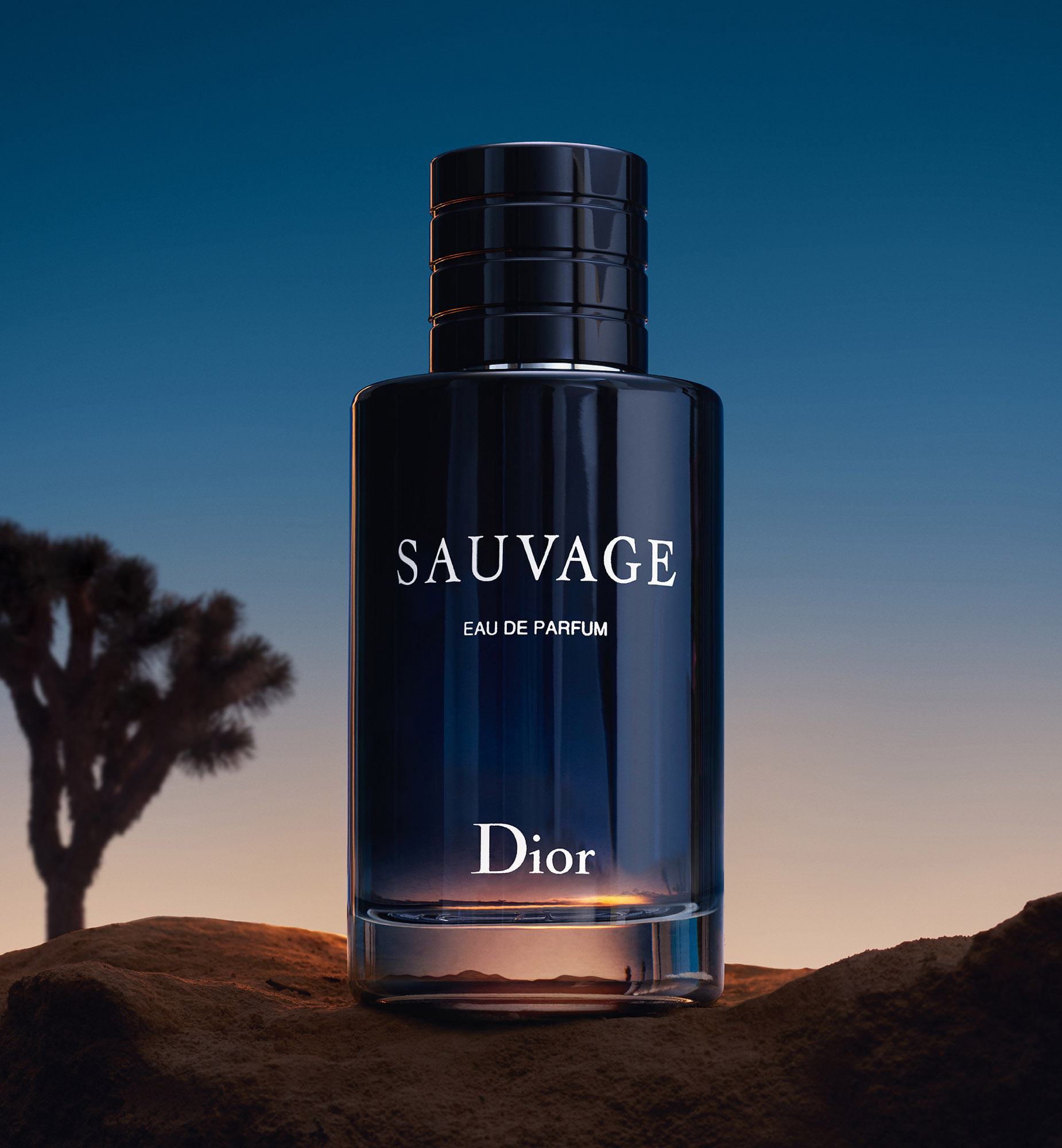 Eau de 2025 parfum dior