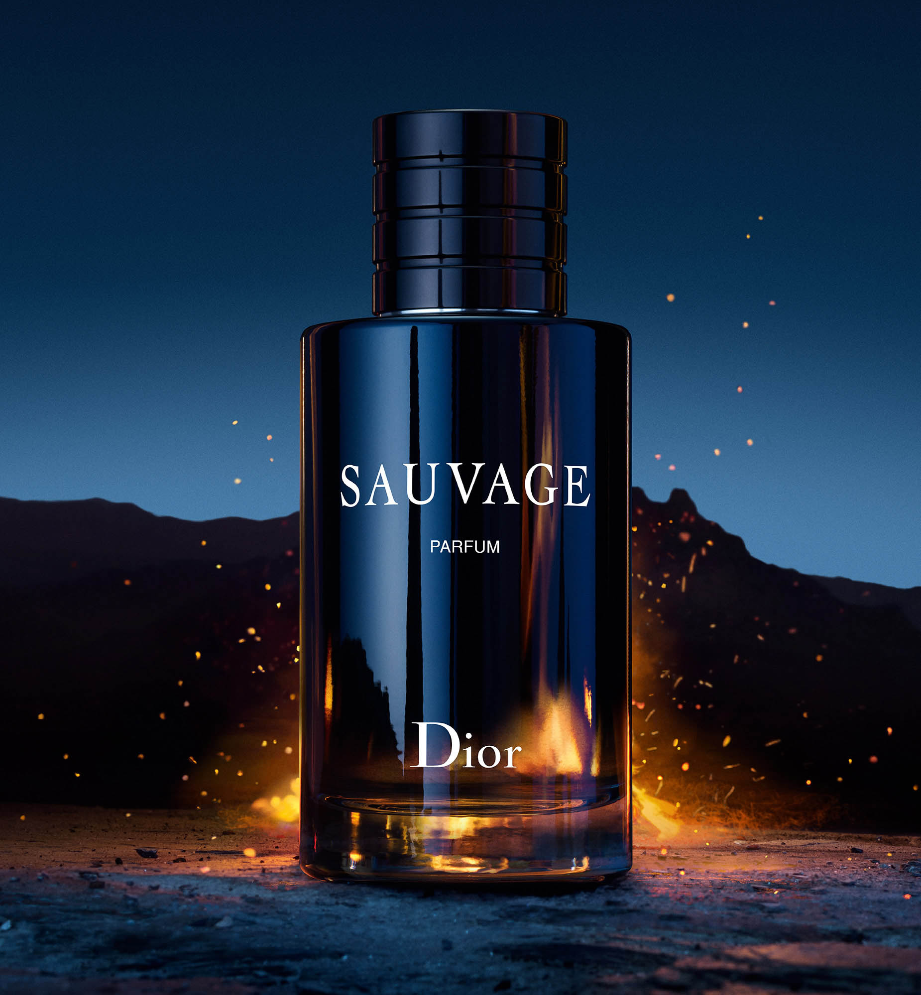 Dior SAUVAGE - 香水(男性用)