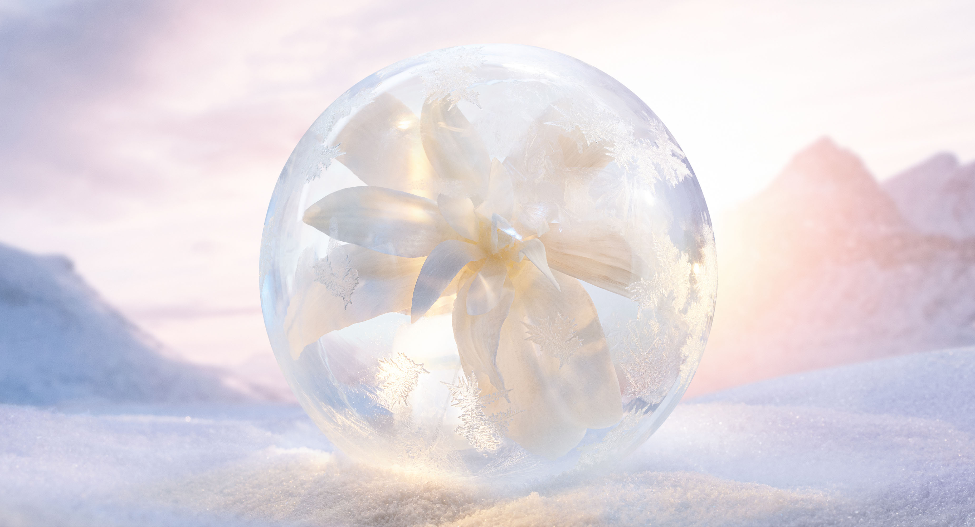 Edelweiss