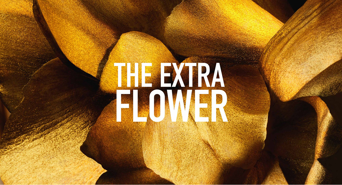 La flor extraordinaria
